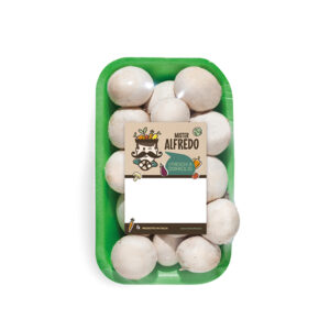 funghi champignon interi mr alfredo