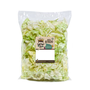 insalata_iceberg_busta_mr_alfredo