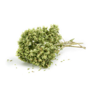 origano mazzo mister alfredo