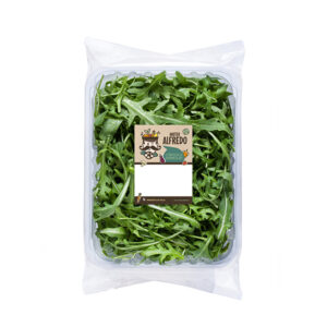vaschetta rucola mr alfredo