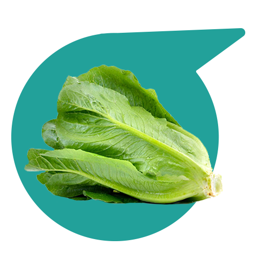 le verdure fresche mr alfredo
