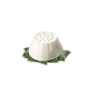 Ricotta fresca in fuscella