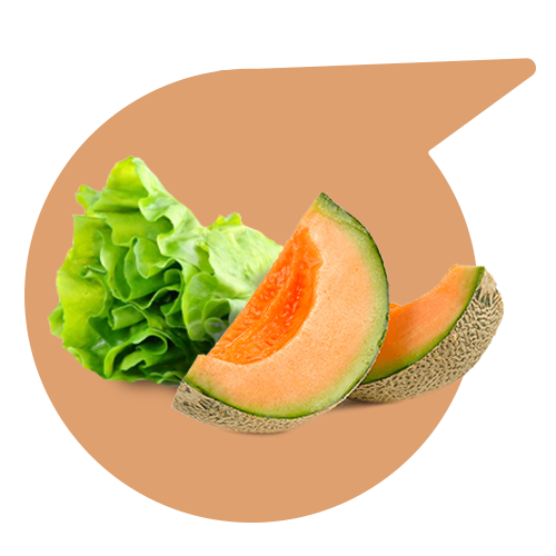 categorie-insalfrutta