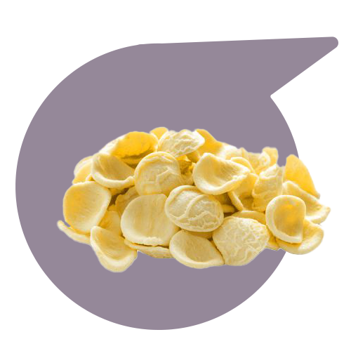 categorie-pasta