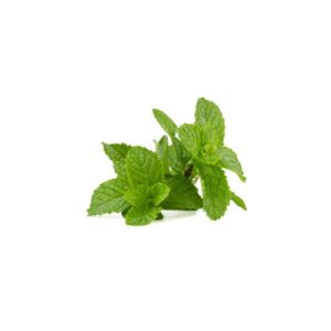 foglie di menta